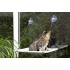 CAT WINDOW LOUNGER - miljonivaatega lamamisalus kassile