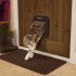 Microchip Cat Flap