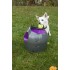 PetSafe® Automatic Ball Launcher- palli viskamise masin koerale