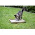 Naturals for Cats Back to Instinct Active Carpet - Naturaalne kraapimis vaip kassile